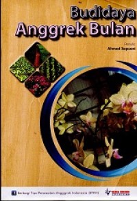 Image of Budi Daya Anggrek Bulan