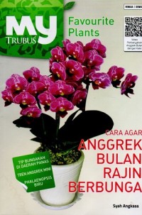 Image of Cara Agar Anggrek Bulan Rajin Berbunga