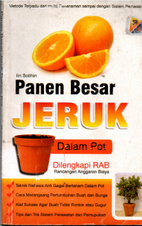Image of Panen Besar Jeruk